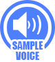 samplevoice